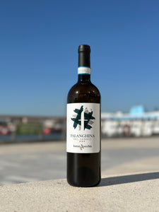 Falanghina del Sannio 2022